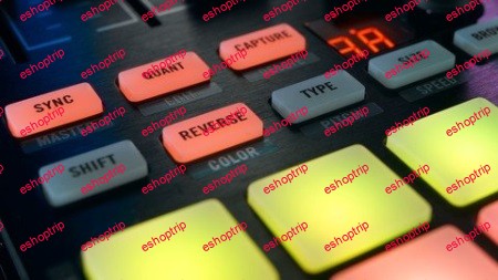 Complete Guide to the Traktor Remix Decks