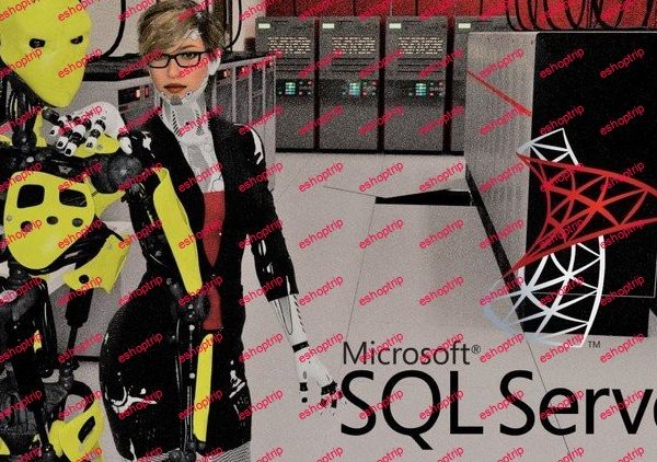 Course 11 SQL Server 2019 on Windows Server 2019 Series