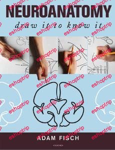 Draw It To Know It Neuroanatomy Video Lessons