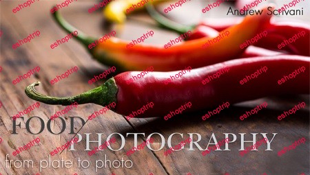 Food Photography From Plate to Photo