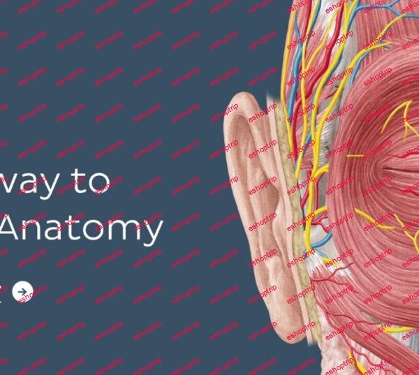 KENHUB Videos 2021 Anatomy And Histology