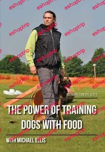 The Power of Training Dogs with Food