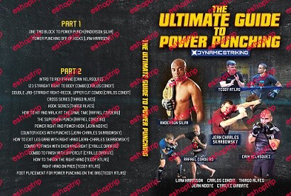 The Ultimate Guide To Power Punching DynamicStriking Compilation