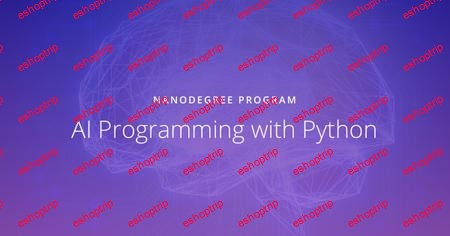 Udacity AI Programming with Python Nanodegree nd089 v1 0 0