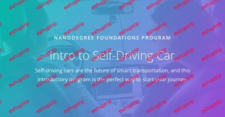 Udacity Intro to Self Driving Cars nd113 v1.0.0