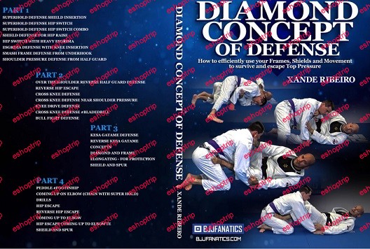 Xande Ribeiro Diamond Concept of Defense