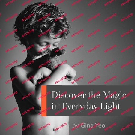 Discover the Magic in Everyday Light