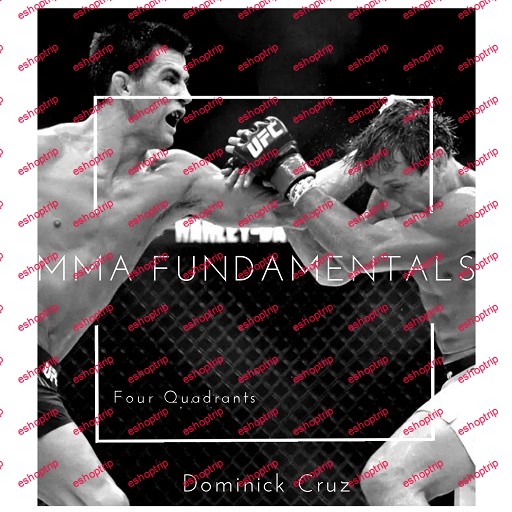 Dominick Cruz MMA Fundamentals 540p