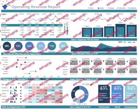 Excel Data Visualization creating impactful dashboards PROJECT N°1