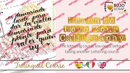 Learn to Love Your Calligraphy Before You Take Another Lettering Class