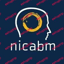 NICABM Brain Smart Webinar Series