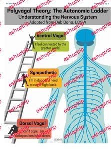 NICABM Polyvagal Theory