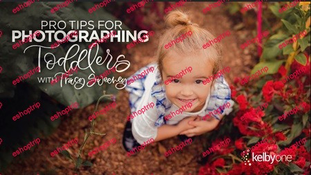 Pro Tips for Photographing Toddlers