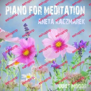 Aneta Kaczmarek Piano for Meditation 2018