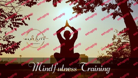 Hart Life Academy Mindfulness Teacher Training