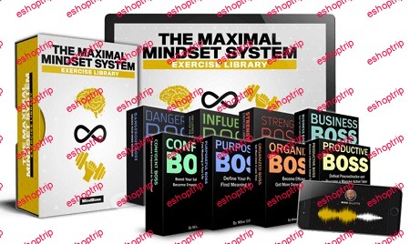 Mike Gillete The Maximal Mindset System