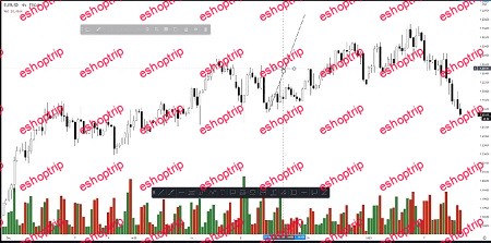 RISE PRECISION Course