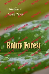 Rainy Forest Ambient Nature Sounds by Greg Cetus