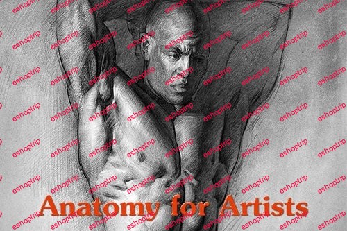 Anatomy of the Human Body Course