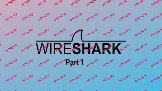 Network Protocol Analysis Using Wireshark Part 1