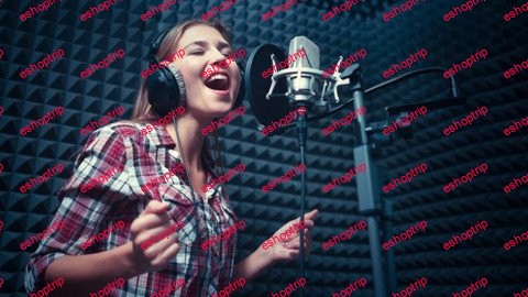 SINGING MADE EASY LEVEL 2 Sing like a Professional Singer