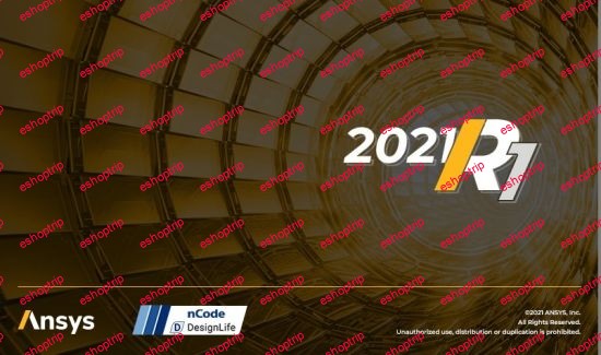 ANSYS 2021 R1 nCode DesignLife x64