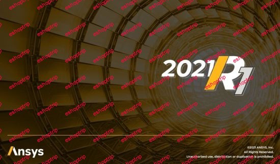 ANSYS Products 2021 R1 x64 Multilingual