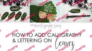 Adding Your Modern Calligraphy And Hand Lettering To Leaves