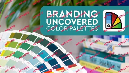 Branding Uncovered Color Palettes The Power of the Perfect Palette