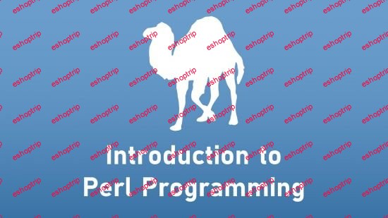 Introduction to Perl Programming