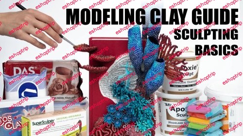 Sculpting Basics Modeling Clays Materials for Mixed Media Sculptures A Guide for Artists