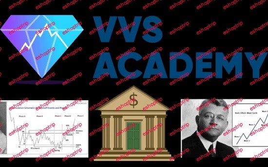 VVS Academy Course