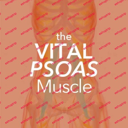 Yoga International The Vital Psoas Muscle Physical Emotional and Energetic Perspectives