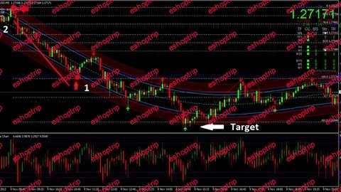 Binary Trading Beginners Guide