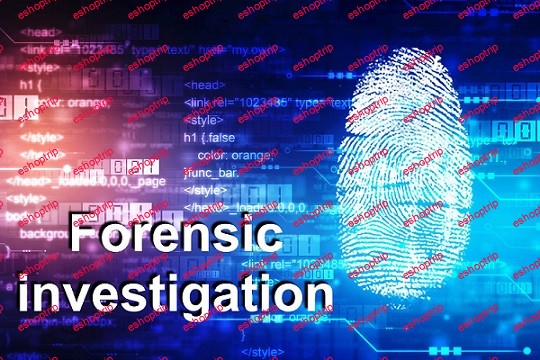 Forensics and Investigation