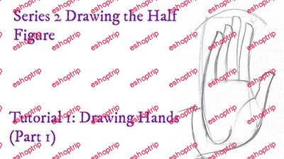 Julia Hayes Drawing the Half Figure Tutorial 1 Drawing Hands Part 1