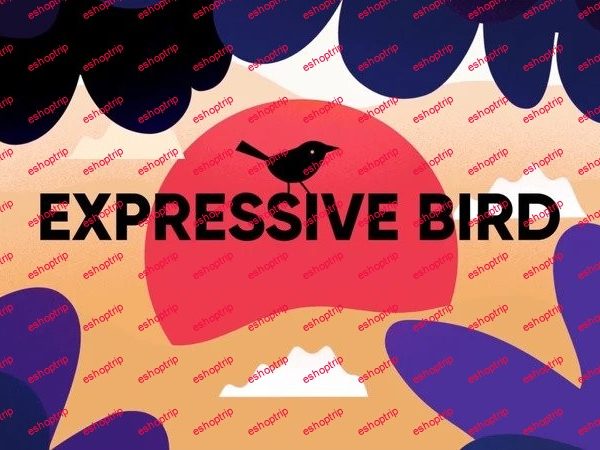 Motion Design School Expressive Bird Animation