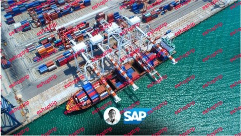 SAP Supply Chain Logistics in R 3 updated 5 2021