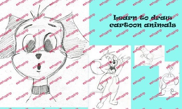 Skillshare How to draw cartoon animals