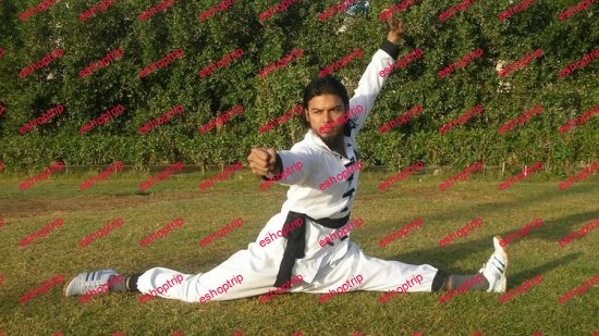 Basic Martial art kung fu Physical fitness streching