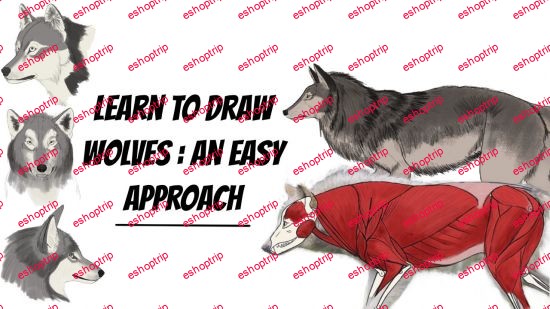 Learn To Draw Wolves An Easy Approach