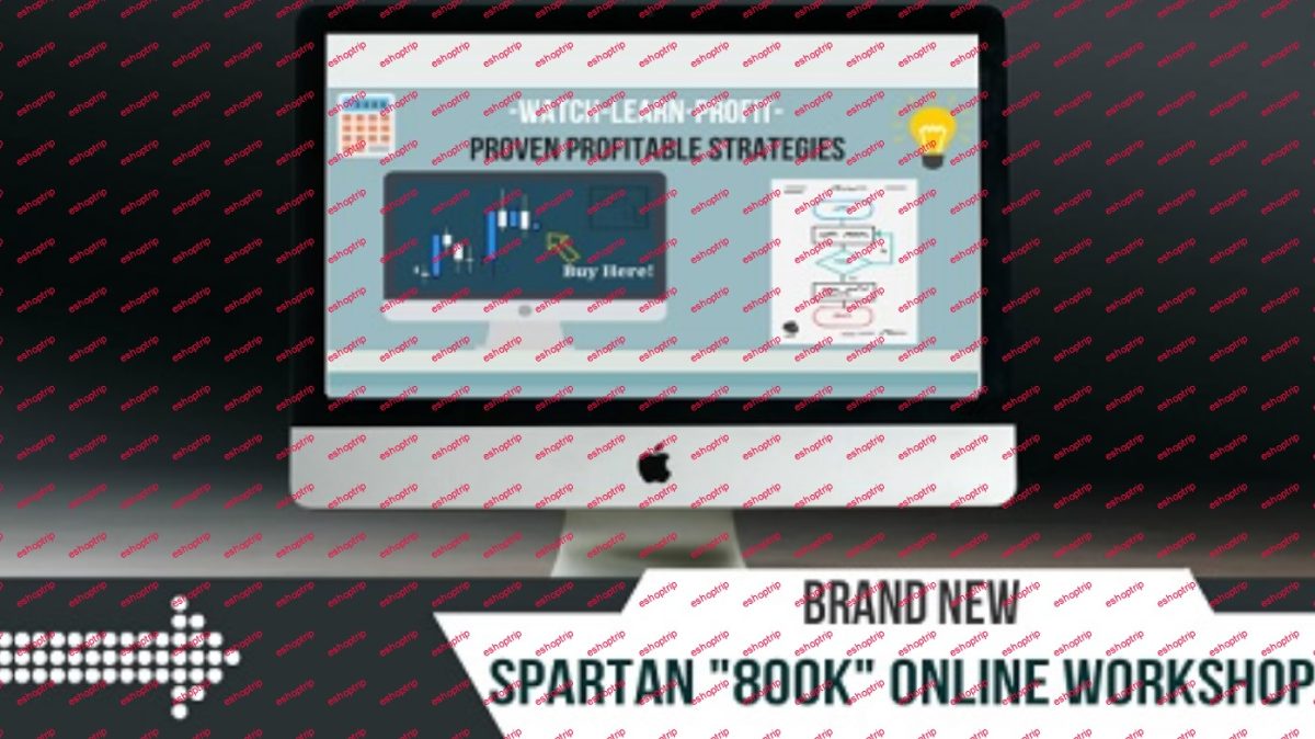 SpartanTraderFX 800k Forex Workshop