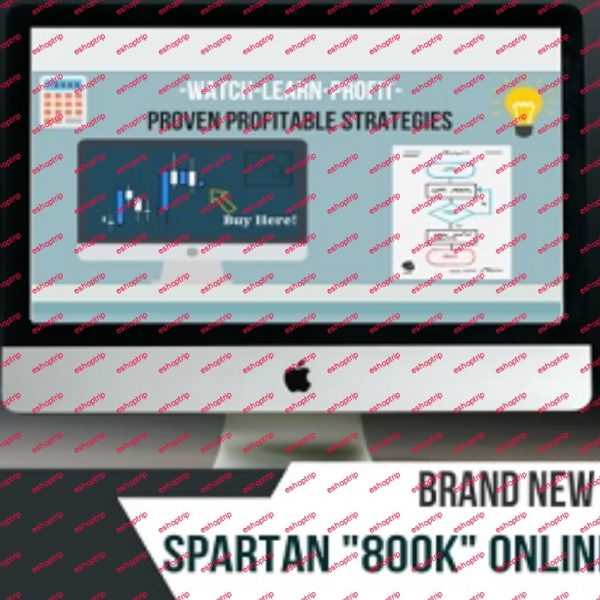 SpartanTraderFX 800k Forex Workshop