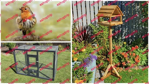 Bumper bird pack Bird Table Small aviary British Birds