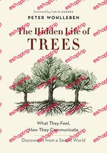 The Hidden Life of Trees What They Feel How They Communicate