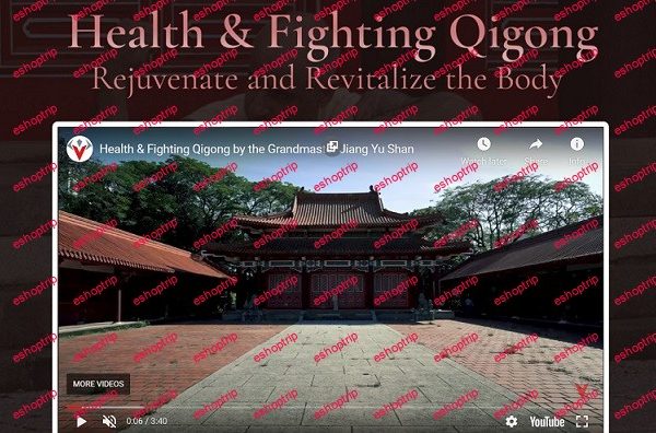 Warrior Neigong Health Fighting Qigong