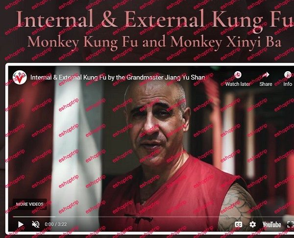 Warrior Neigong Internal External Kung Fu