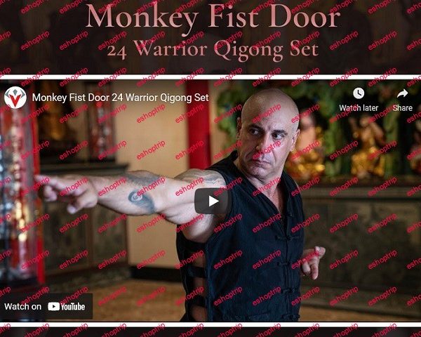 Warrior Neigong Monkey Fist Door 24 Warrior Qigong Set