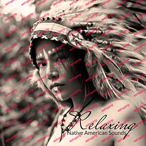 Calming Music Ensemble Relaxing Native American Sounds 2020 MP3