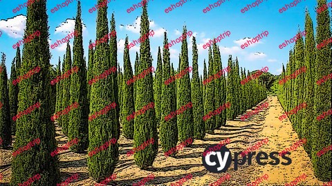 Master Cypress 8 in 15 minutes a day